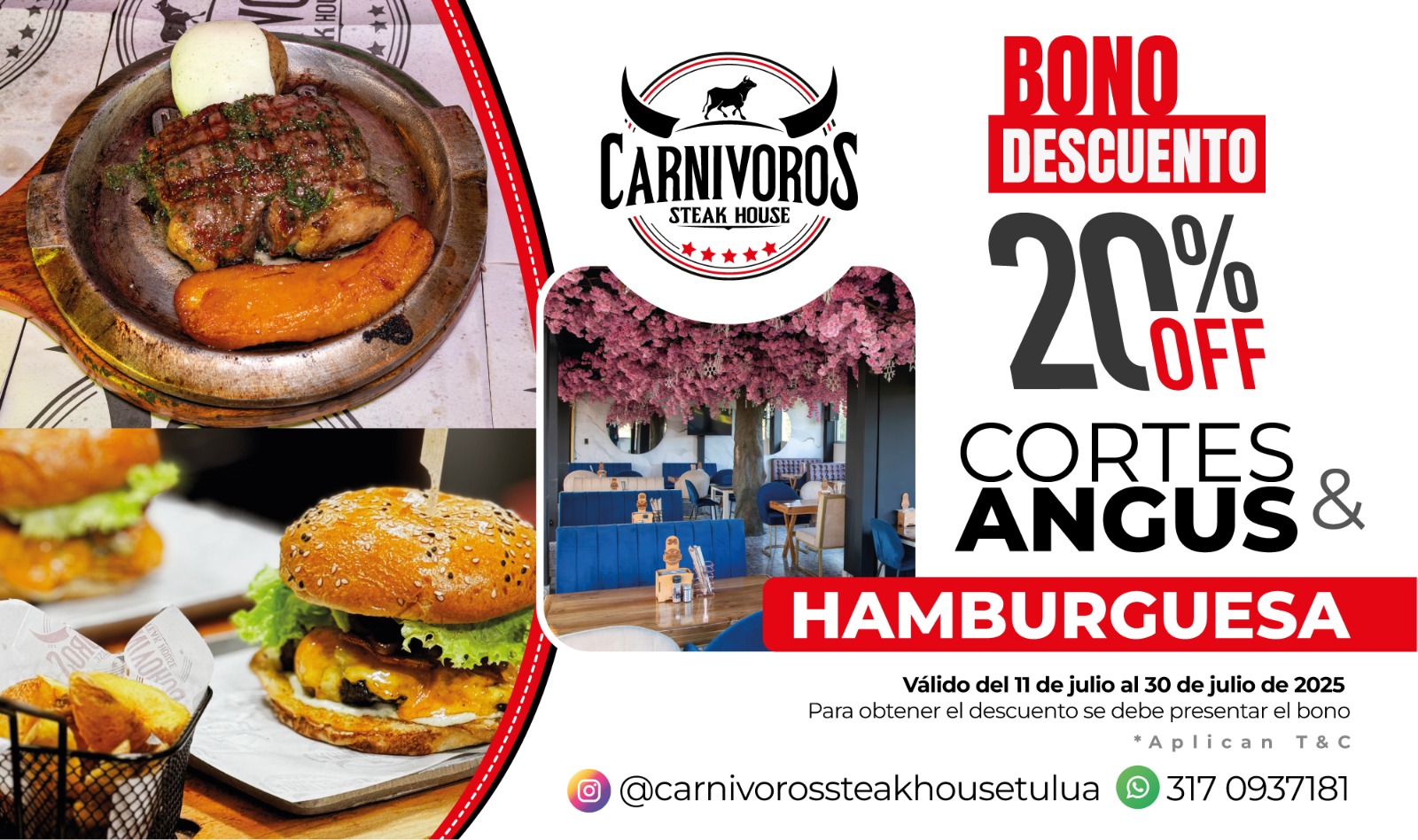 IMAGEN DE DESCUENTO CARNIVOROS